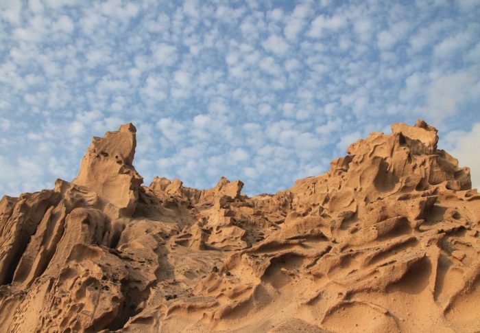 Παγκόσμια Ημέρα Περιβάλλοντος