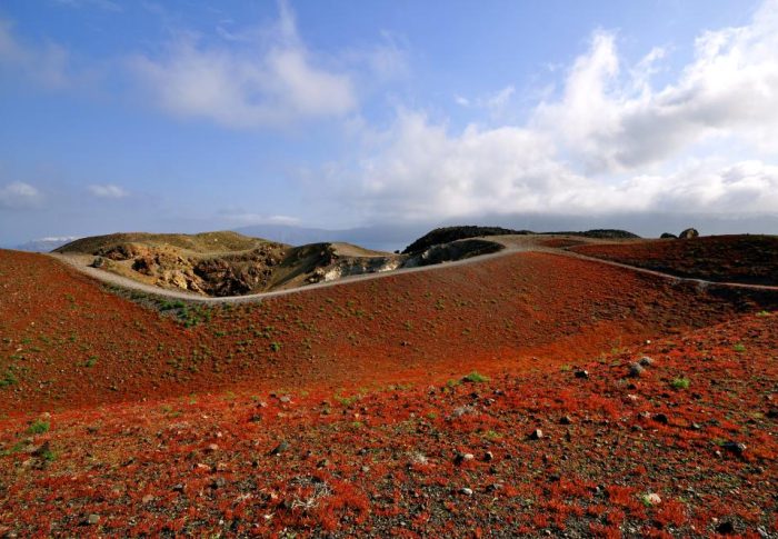 Μήνυμα για την ημέρα Περιβάλλοντος